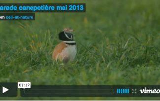 Capture d’écran 2013-05-05 à 13.10.22